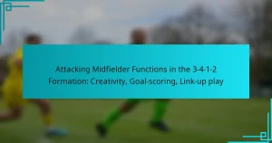 Attacking Midfielder Functions in the 3-4-1-2 Formation: Creativity, Goal-scoring, Link-up play