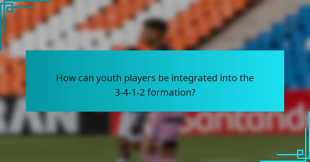 How can youth players be integrated into the 3-4-1-2 formation?