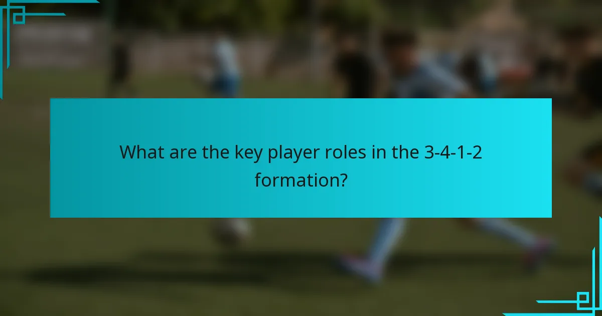 What are the key player roles in the 3-4-1-2 formation?
