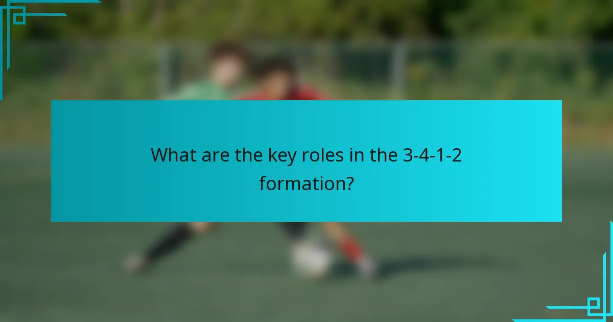 What are the key roles in the 3-4-1-2 formation?