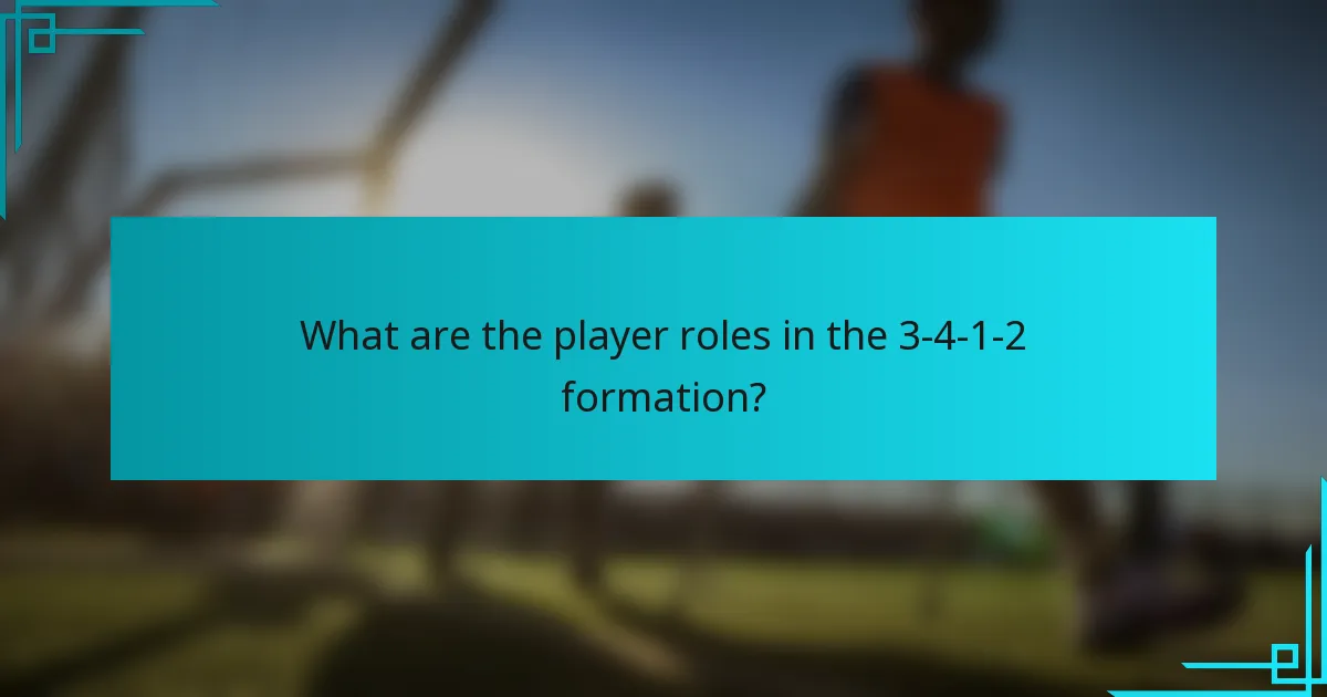 What are the player roles in the 3-4-1-2 formation?