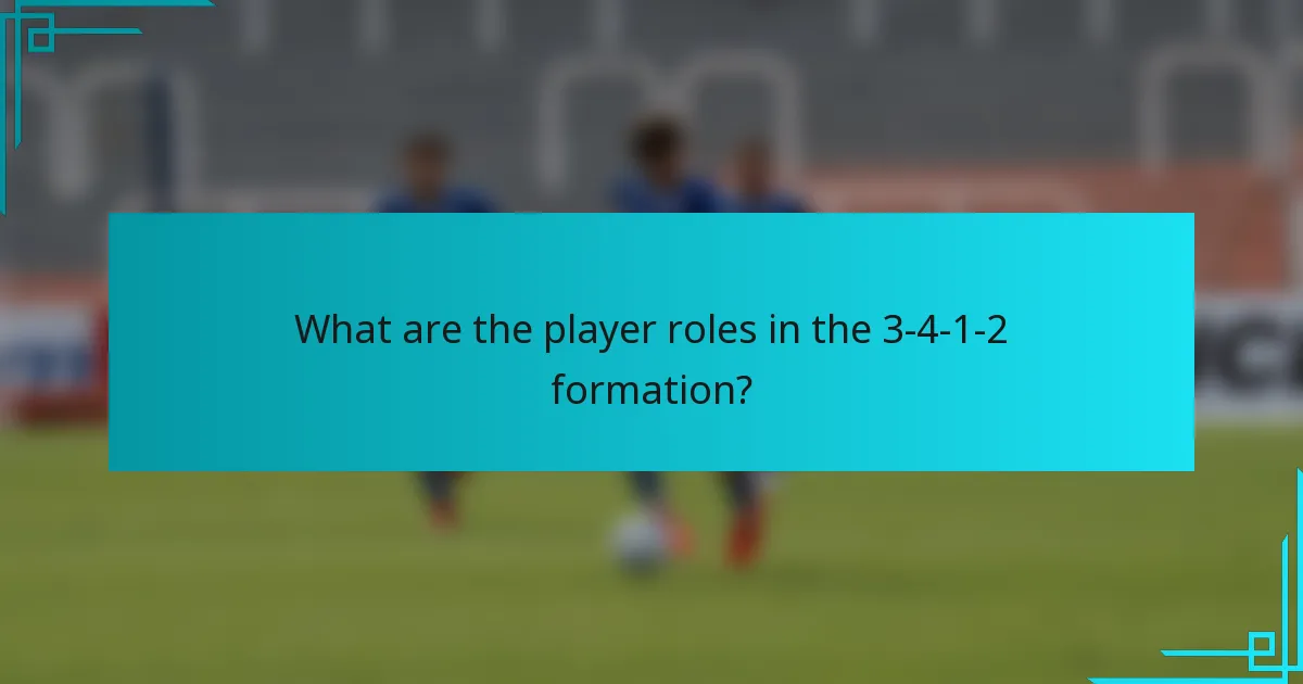 What are the player roles in the 3-4-1-2 formation?